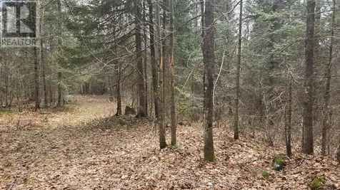 930 Ponderosa Road Nipissing ON P0H 2L0
