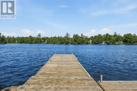 207 Hall Drive Trent Lakes ON K0L 1J0