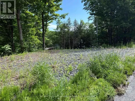 85 Sunnyshore Park Drive Mckellar ON P2A 0B5