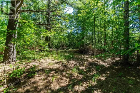2 Greenshields Crescent Oro-medonte ON L0L 1T0