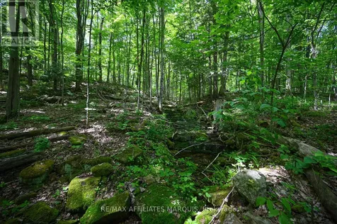 100 Coons Road Rideau Lakes ON K0G 1E0