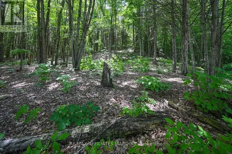 100 Coons Road Rideau Lakes ON K0G 1E0