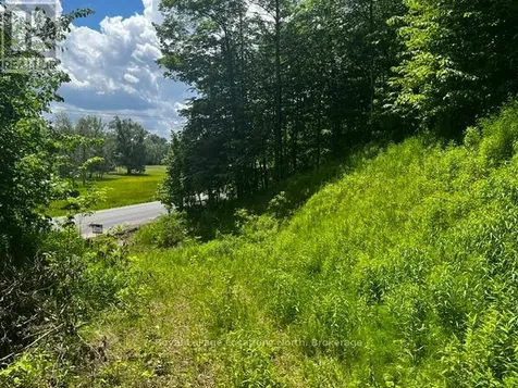 8840 9 County Road Clearview ON L0M 1G0