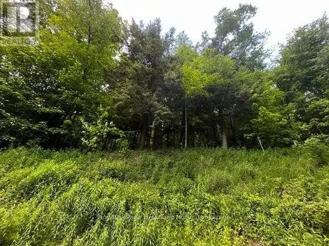 8840 9 County Road Clearview ON L0M 1G0