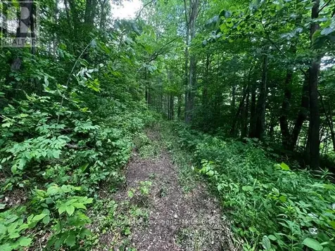 8840 9 County Road Clearview ON L0M 1G0