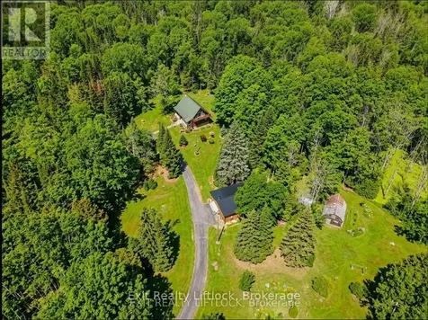 3428 County Road 620 North Kawartha ON K0L 1A0