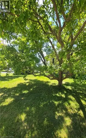 249 Wilderness Drive Kitchener ON N2E 3R4