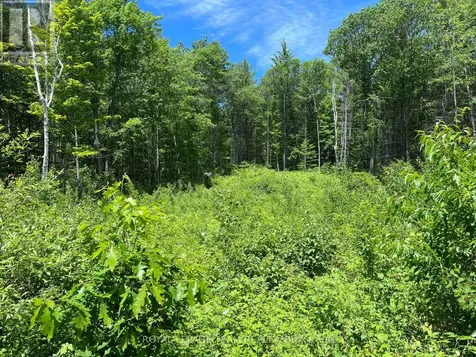 695 Long Lake Road Madawaska Valley ON K0J 1B0