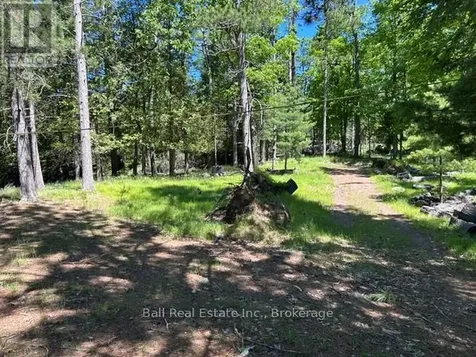 79 Fire Route 89d North Kawartha ON K0L 3E0