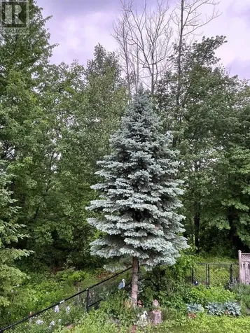 19 Tanager Crescent Wasaga Beach ON L9Z 0B3