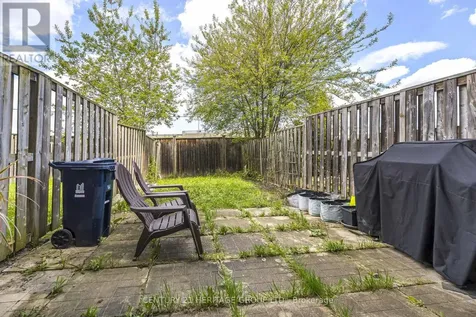 164 Jenkinson Way Toronto (dorset Park) ON M1P 5H4
