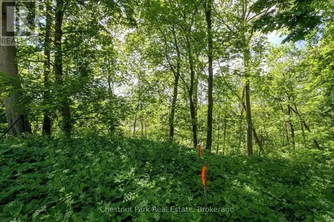 956 6th Avenue East Owen Sound ON N4K 2V4
