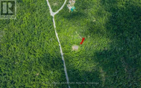 369 Nichols Cove Road Trent Lakes ON K0M 1A0