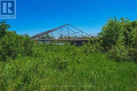 215 Laplantes Road Trent Lakes ON K0L 1J0