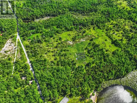 215 Laplantes Road Trent Lakes ON K0L 1J0