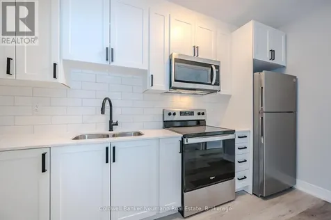 104 Elizabeth Street Guelph (st. Patrick's Ward) ON N1E 2X4