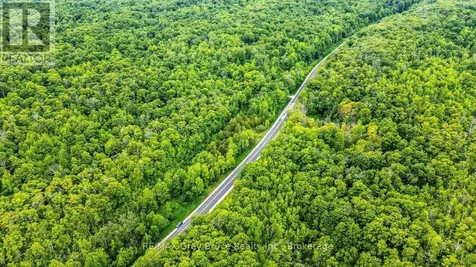Lot 5 Bruce Road 9 Northern Bruce Peninsula ON N0H 1W0