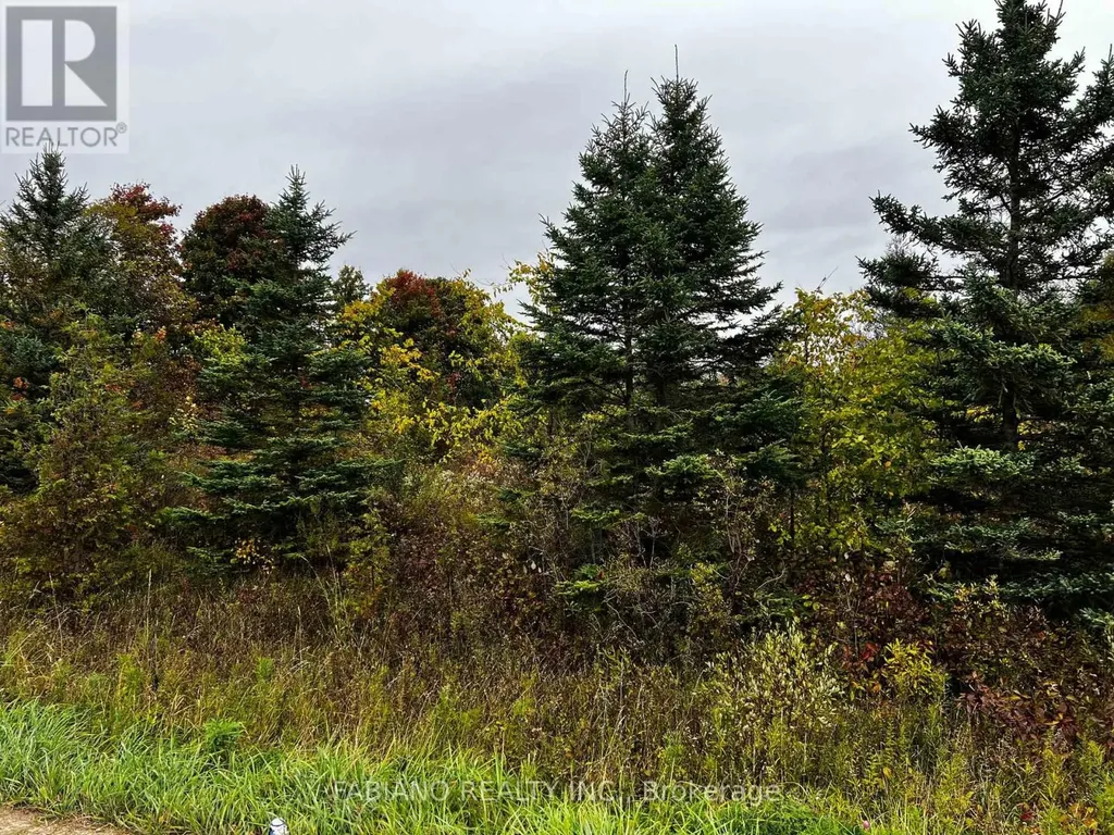 257 4th Line Concession 4 SW Line Melancthon ON L9V 2C3