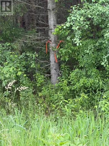 00 Branch Road Augusta ON K0G 1R0