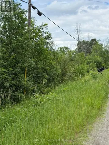 00 Branch Road Augusta ON K0G 1R0