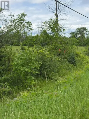 00 Branch Road Augusta ON K0G 1R0