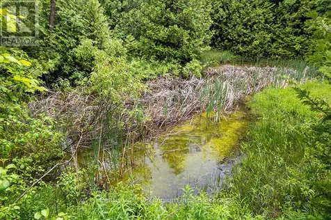 245650 22 Sideroad Meaford ON N4L 0A7
