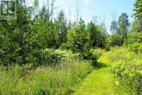 65 Lawrence Road South Bruce Peninsula ON N0H 2T0