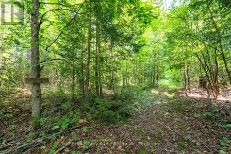 65 Lawrence Road South Bruce Peninsula ON N0H 2T0