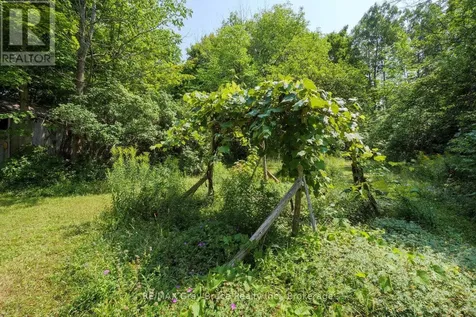 65 Lawrence Road South Bruce Peninsula ON N0H 2T0