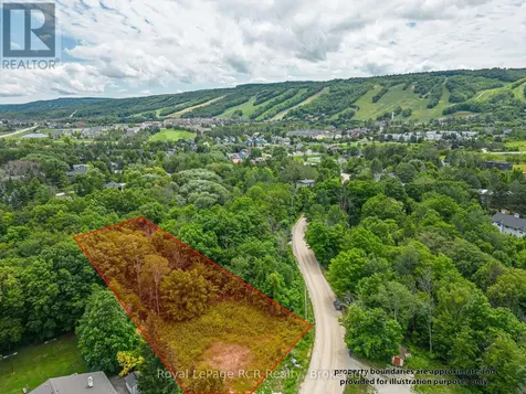 133 Birch View Trail Blue Mountains ON L9Y 0M1