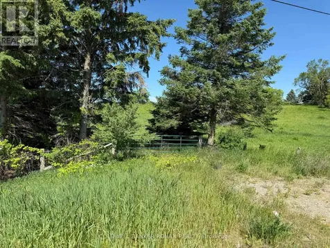 1420 County Road 50 Adjala-tosorontio ON L9G 0E2