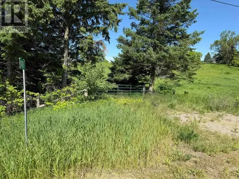 1420 County Road 50 Adjala-tosorontio ON L9G 0E2