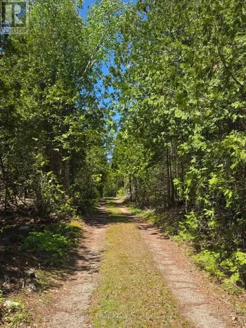 79 Pine Tree Harbour Road Northern Bruce Peninsula ON N0H 1Z0