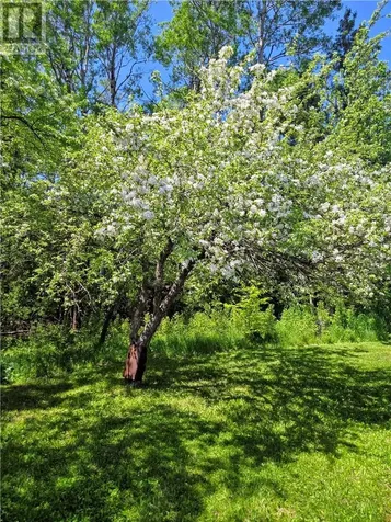 622 Campbell Road Evansville ON P0P 1E0