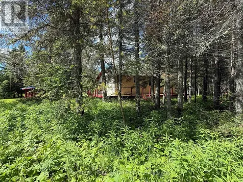 81 Bentley Lake Road Cochrane ON P0L 1C0