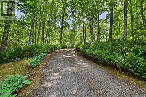 287 Doc Evans Road North Kawartha ON K0L 1A0