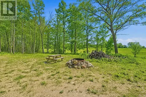 507 French Settlement Road Tweed (hungerford (twp)) ON K0K 3J0