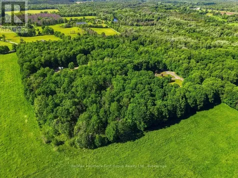507 French Settlement Road Tweed (hungerford (twp)) ON K0K 3J0