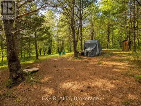 141 Carson Heights Road Madawaska Valley ON K0J 1B0
