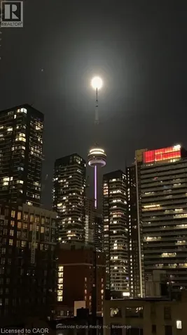 388 Richmond Street West Toronto ON M5V 3P1