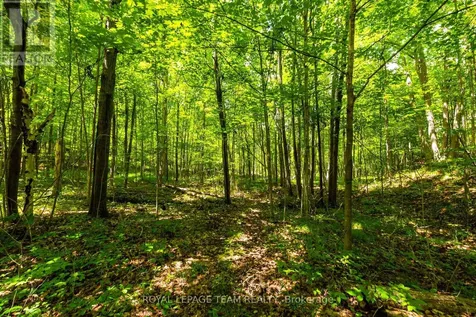 Tbd Scott Lane Rideau Lakes ON K0G 1V0