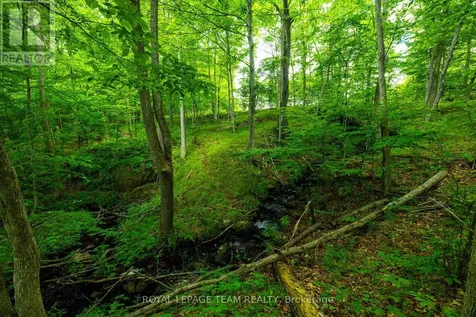 Tbd Scott Lane Rideau Lakes ON K0G 1V0