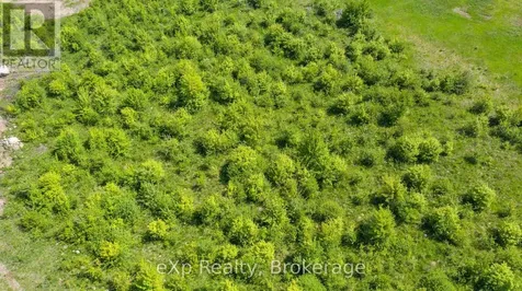 Lot 23 Con A, Side Road 23 Meaford ON N0H 1B0