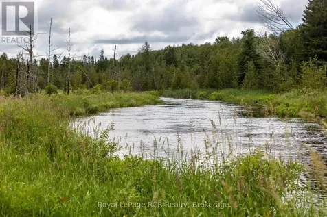 775355 Highway 10 Grey Highlands ON N0C 1H0