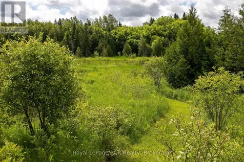 775355 Highway 10 Grey Highlands ON N0C 1H0