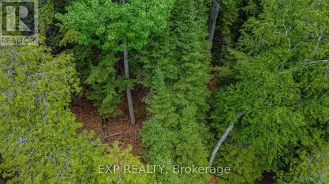 B Lot Arbor Vitae Road Madawaska Valley ON K0J 1B0
