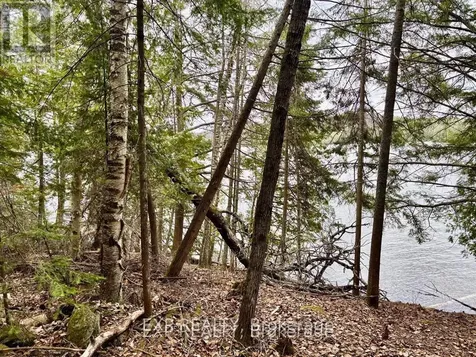 B Lot Arbor Vitae Road Madawaska Valley ON K0J 1B0