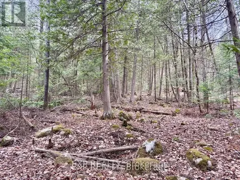 B Lot Arbor Vitae Road Madawaska Valley ON K0J 1B0