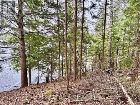 B Lot Arbor Vitae Road Madawaska Valley ON K0J 1B0