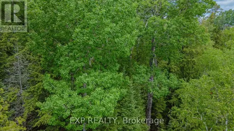 B Lot Arbor Vitae Road Madawaska Valley ON K0J 1B0